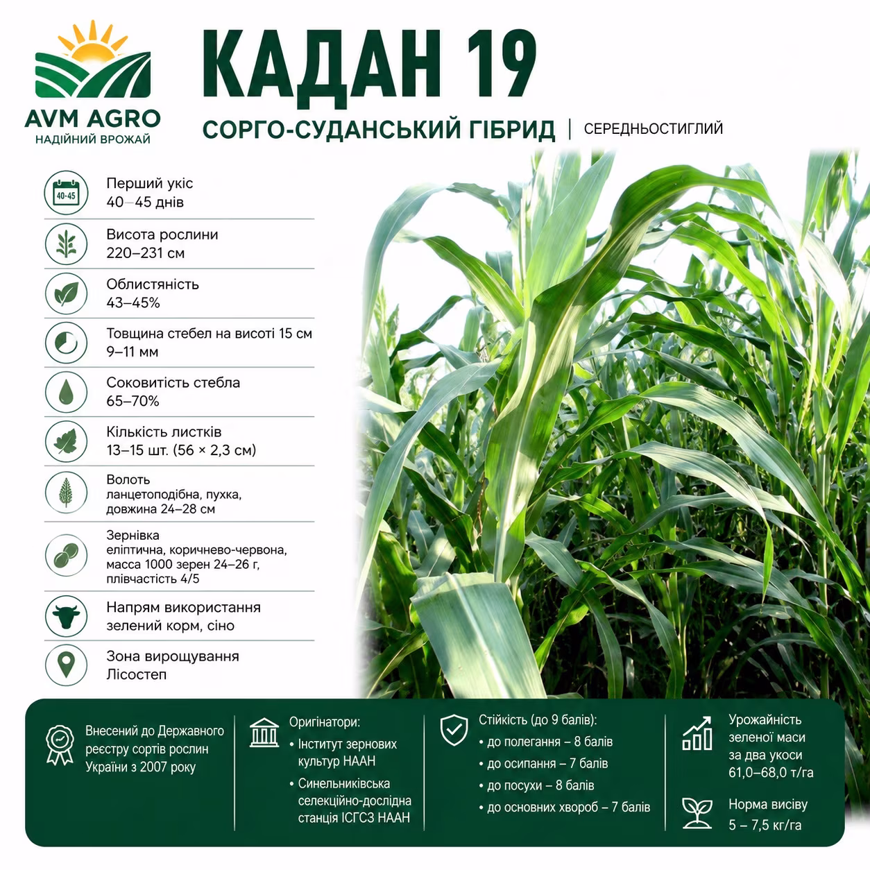 Кадан 19