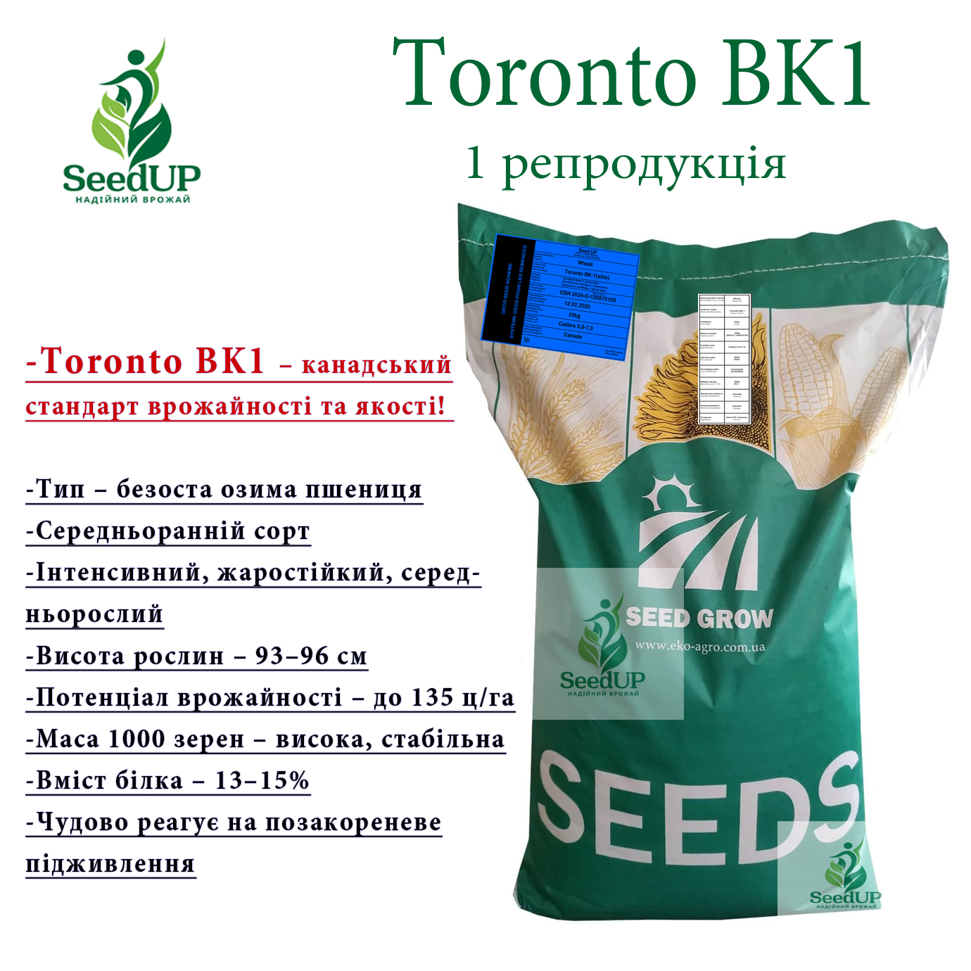 Toronto BK1
