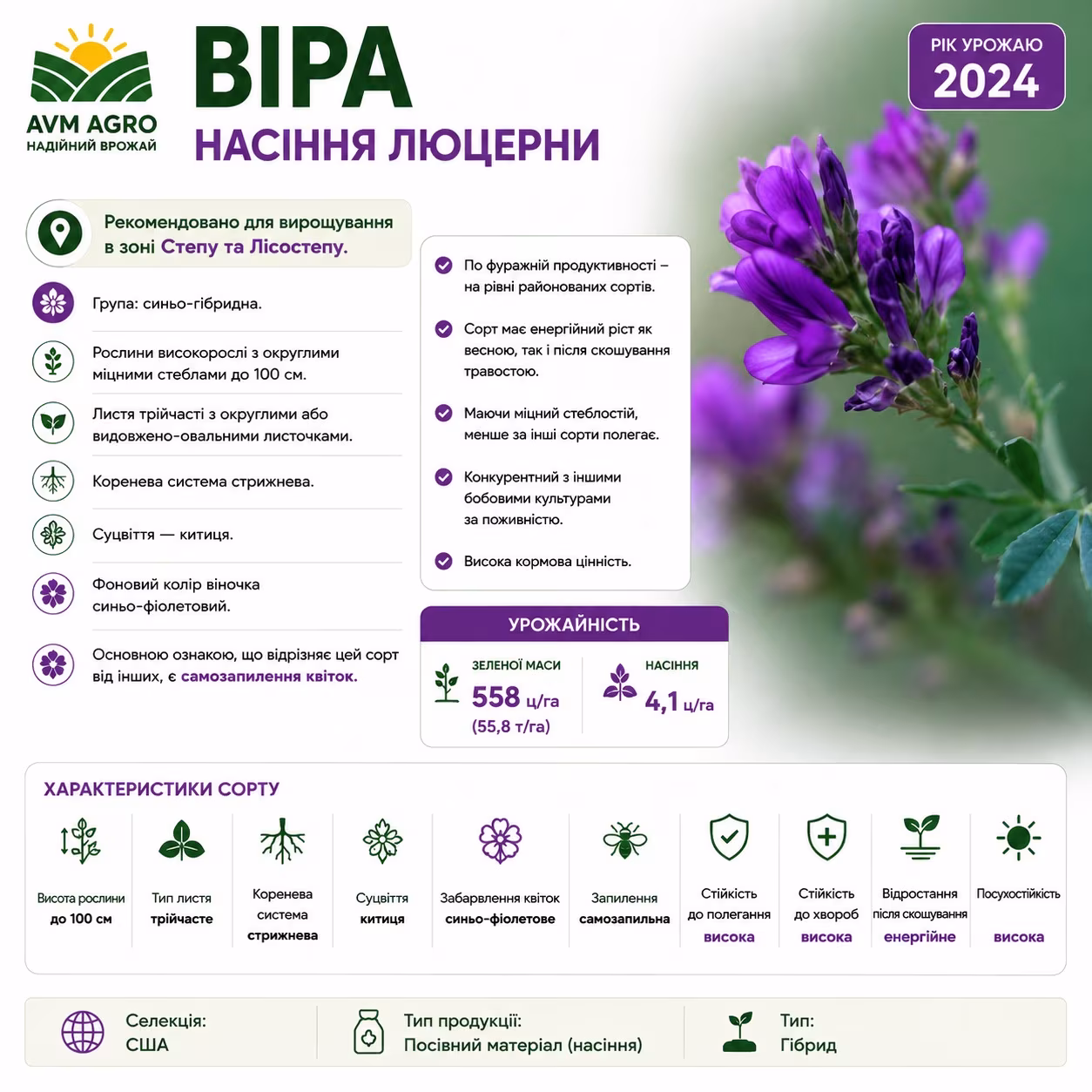 Віра