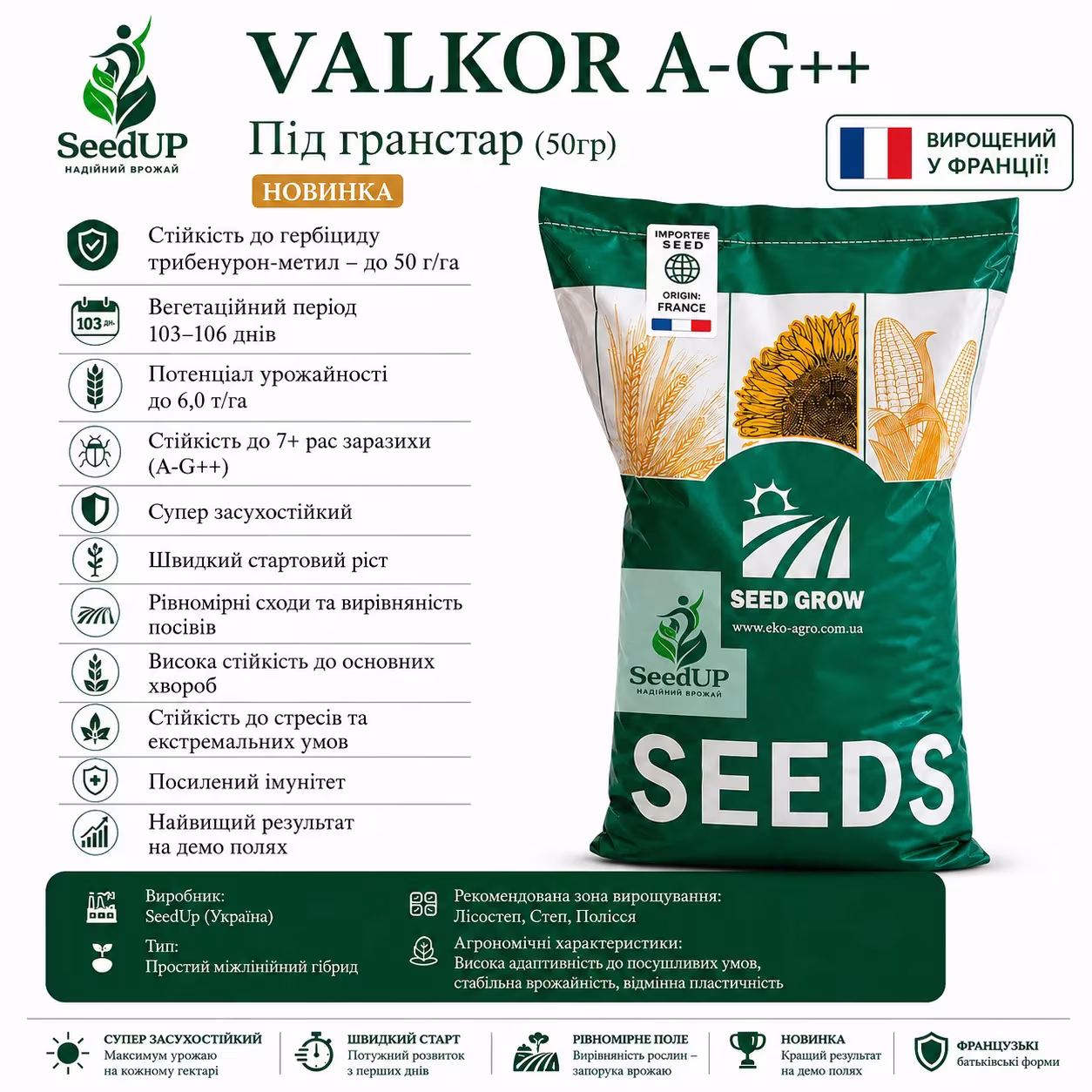 Насіння соняшнику VALKOR A-G++ під Гранстар
