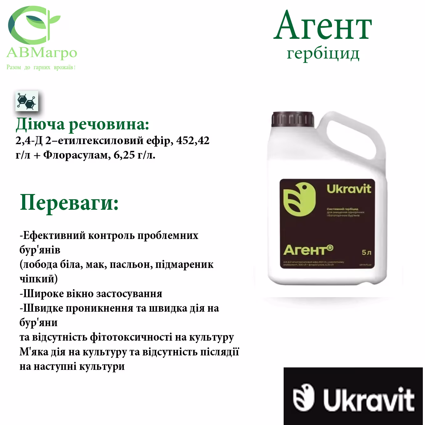 Агент