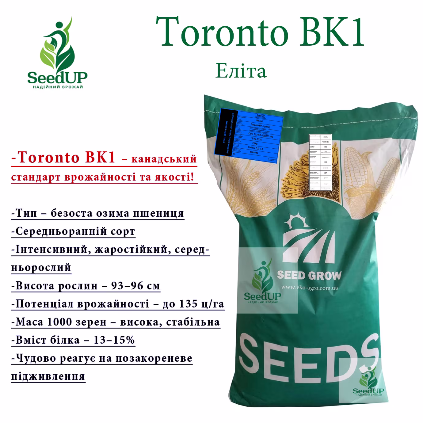 Toronto BK1