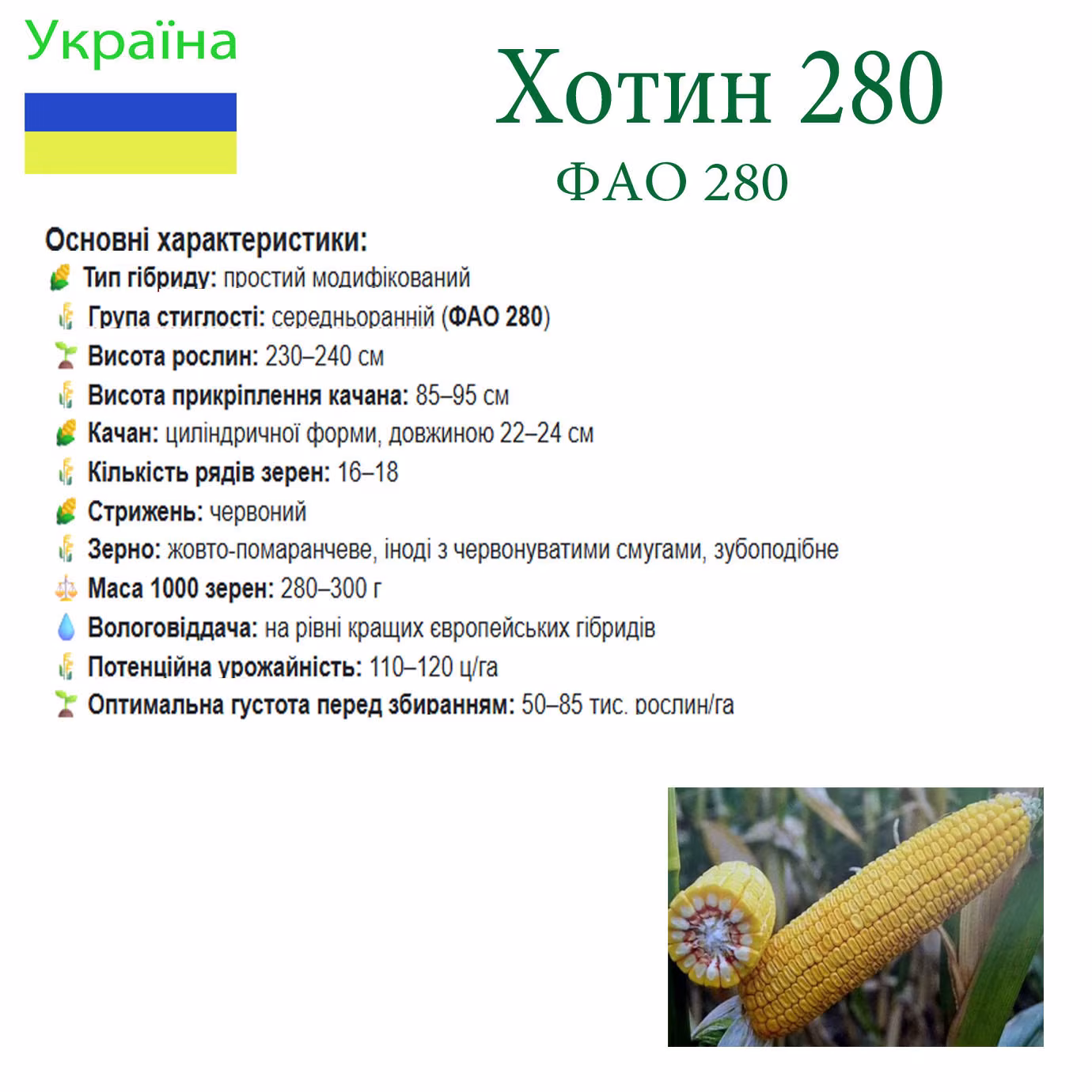 Хотин 280
