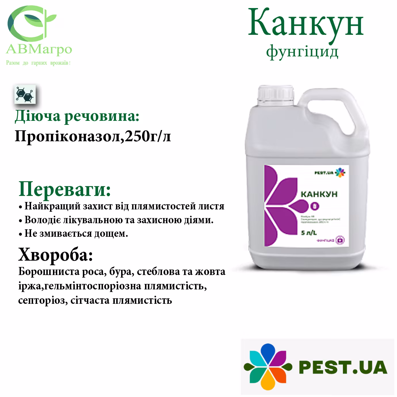 Канкун