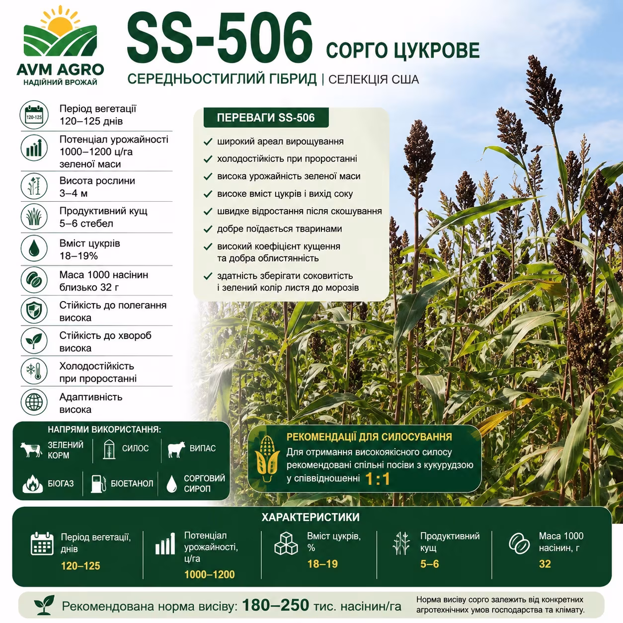 SS-506