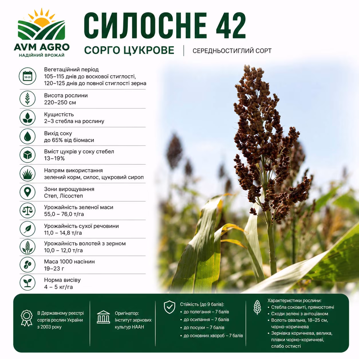 Силосне 42