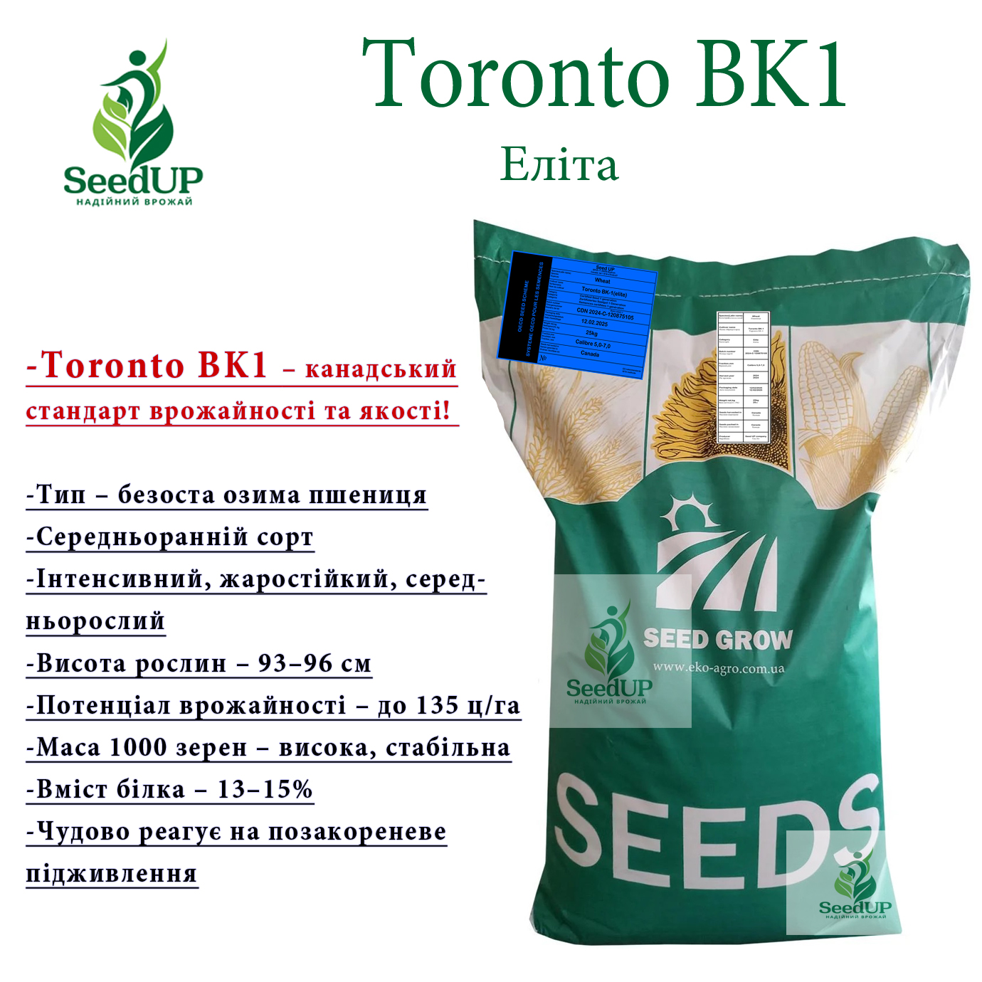 Toronto BK1