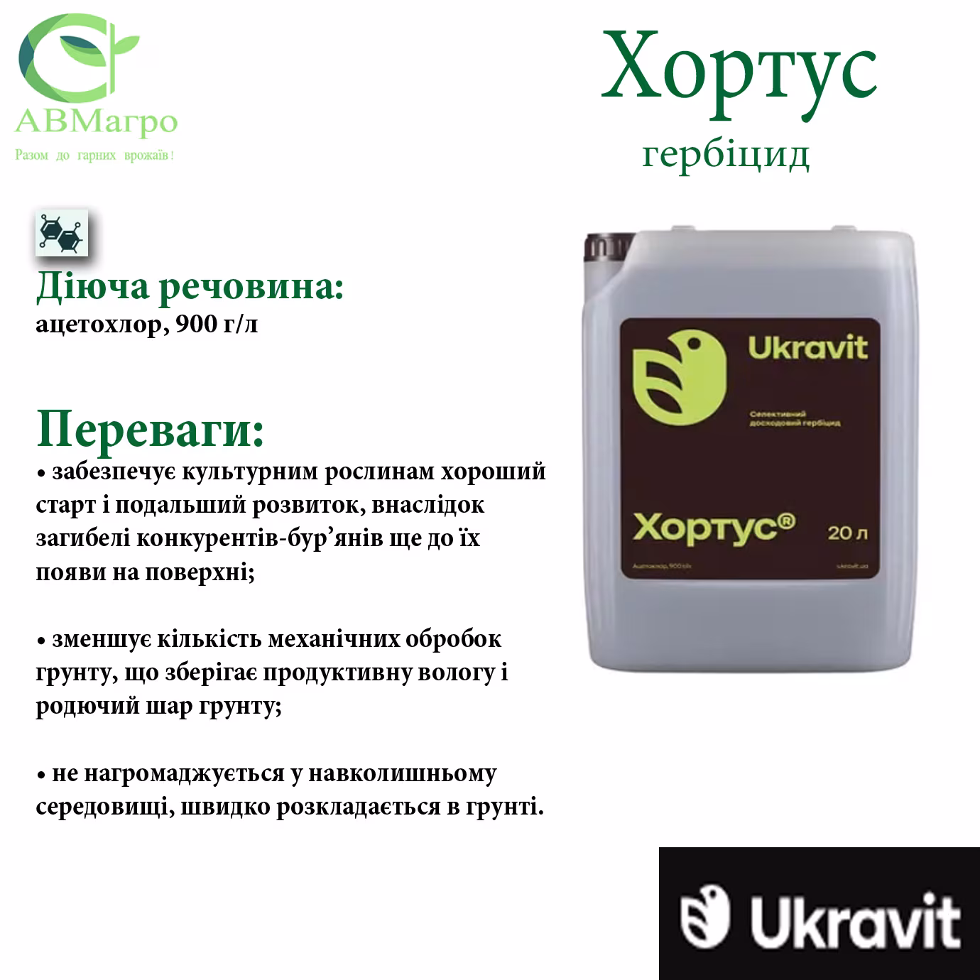 Хортус