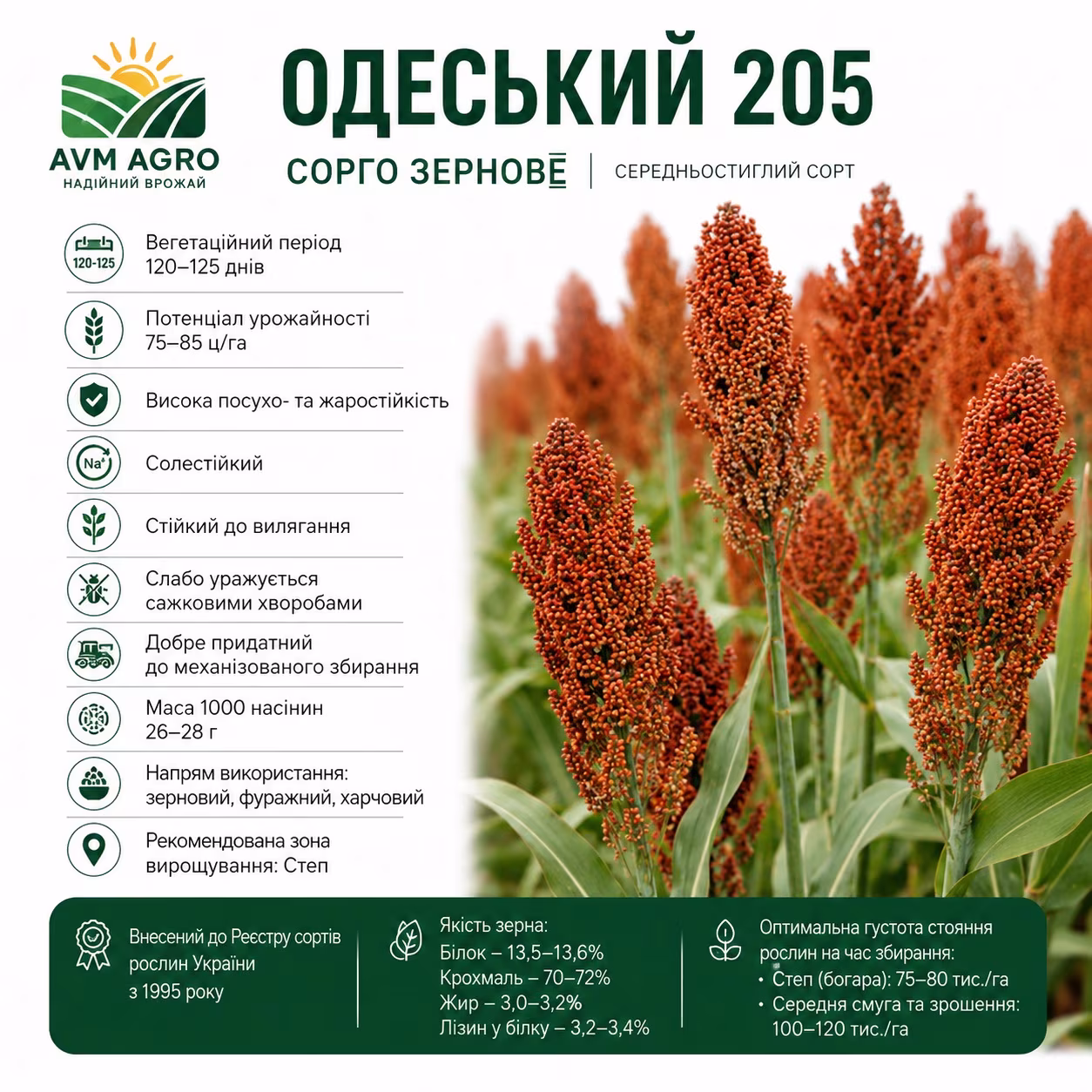 Одеський 205