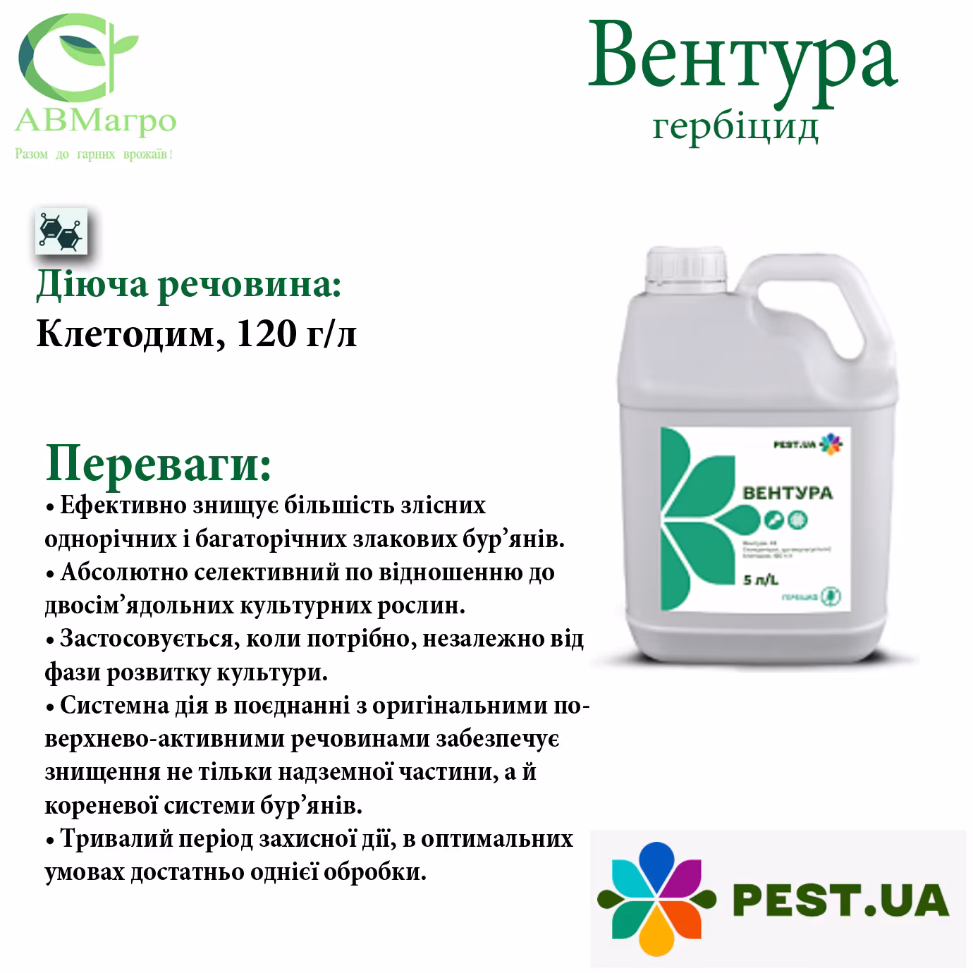Вентура