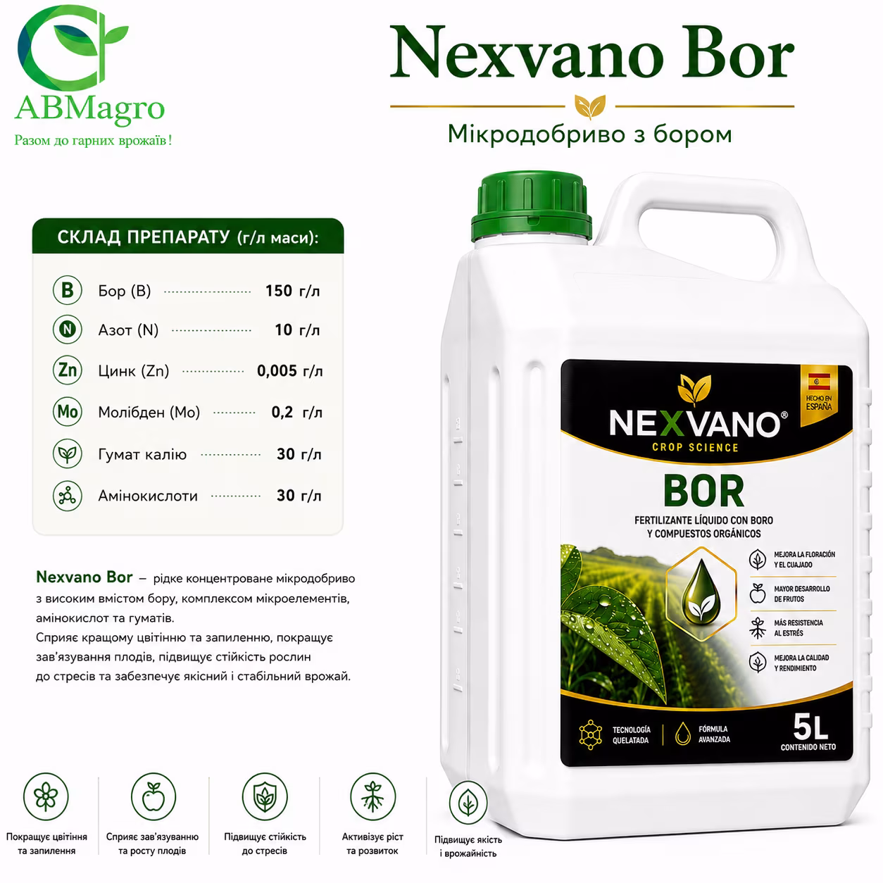 Nexvano Bor 🇪🇸