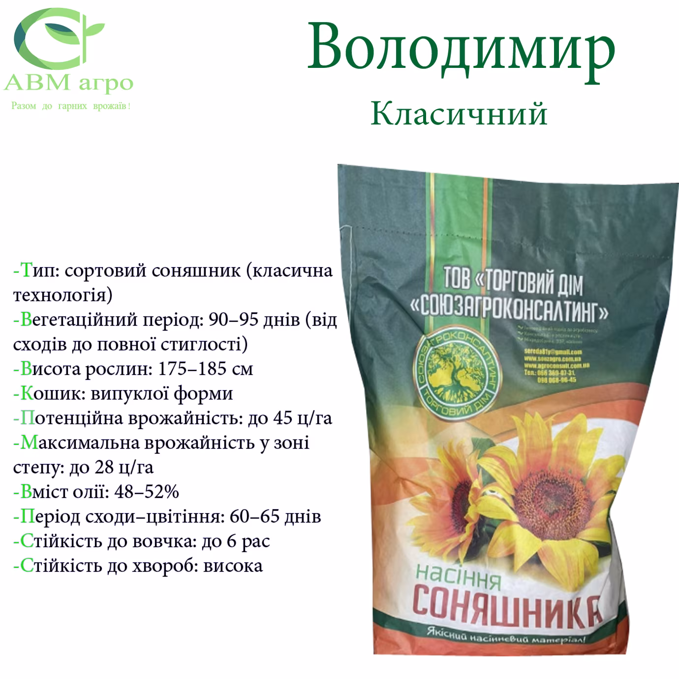 Володимир